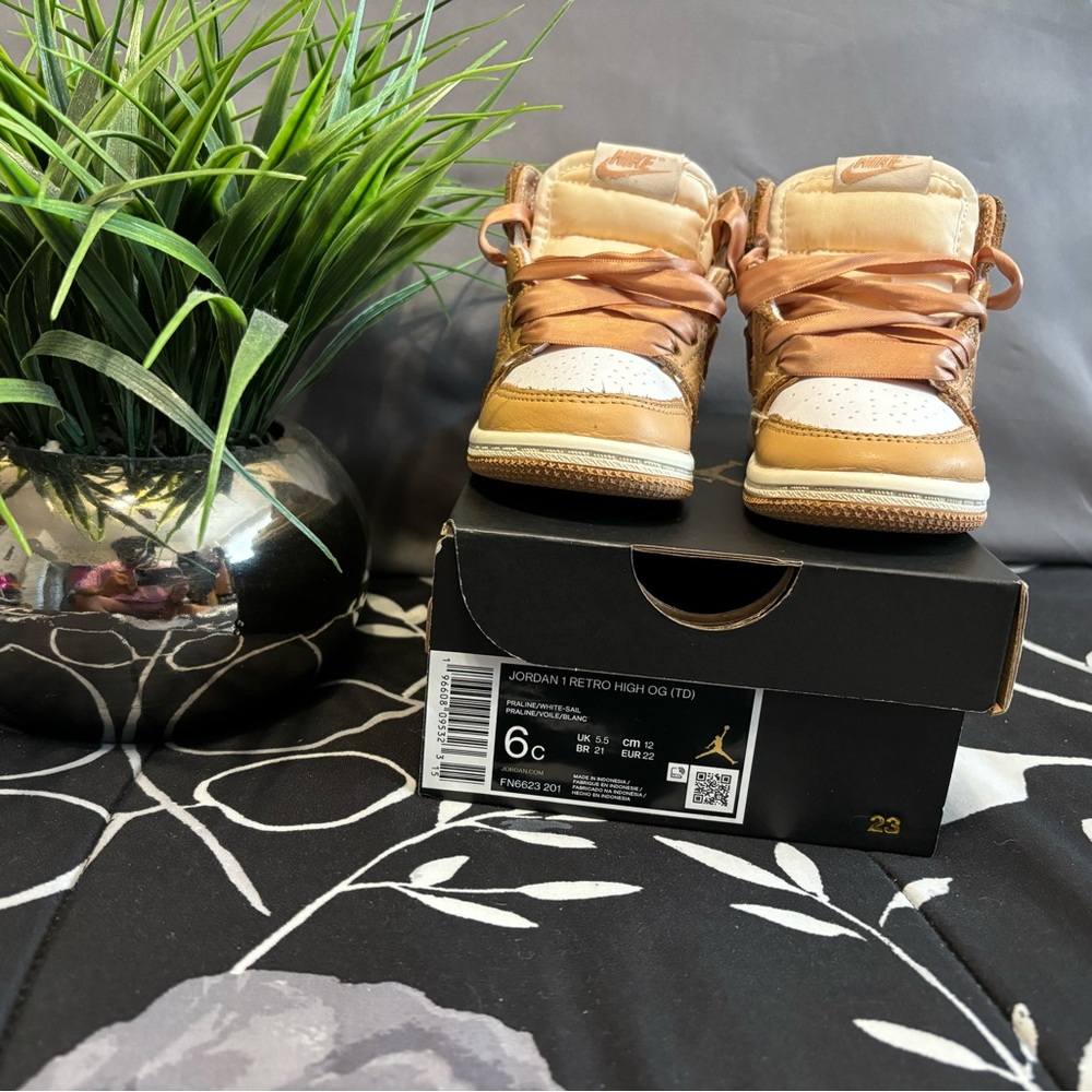 Jordan 1 Retro High OG TD Prailine/White-Sail